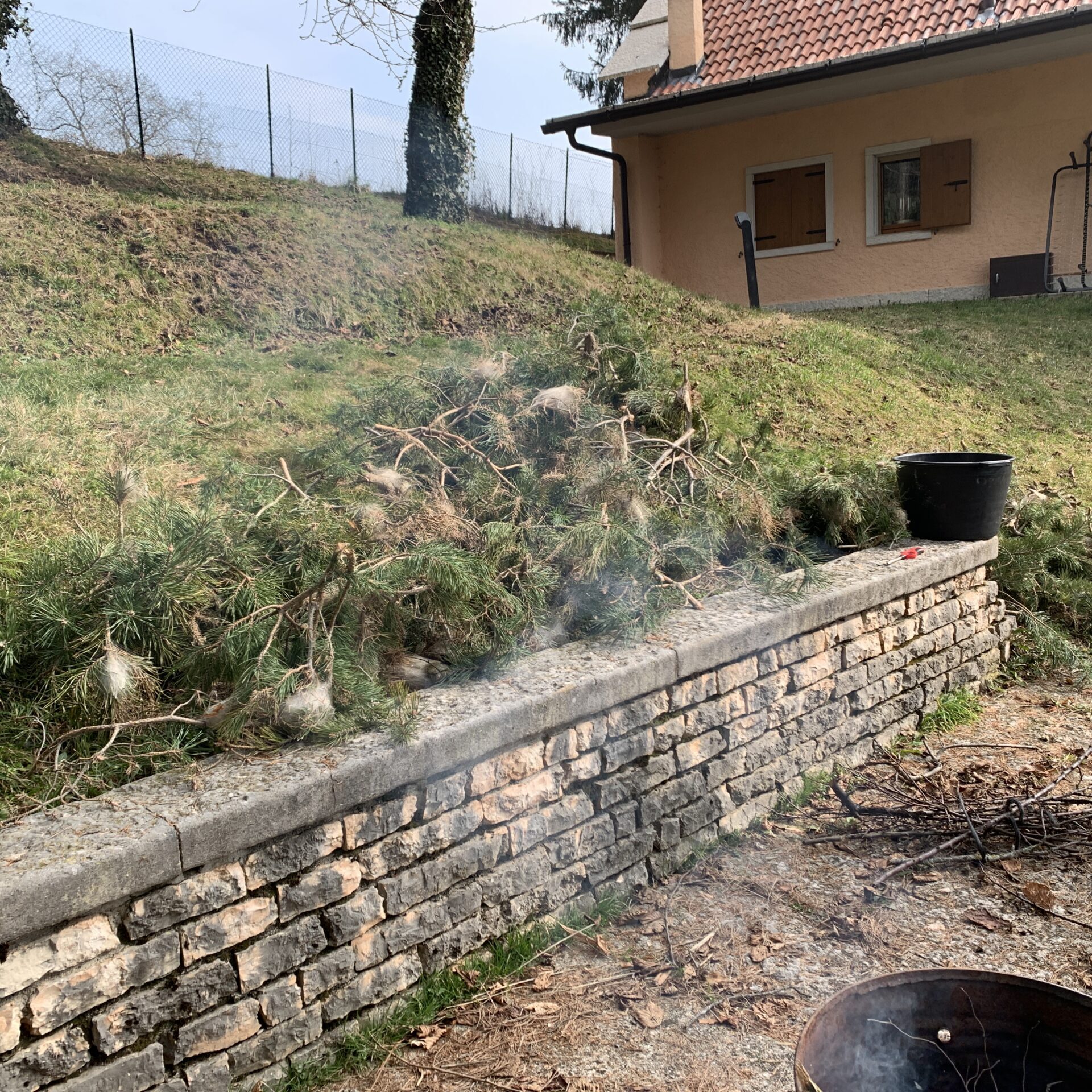 Nidi processionarie Distruzione nidi processionarie
